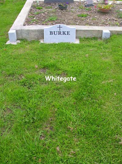 Joe Burke